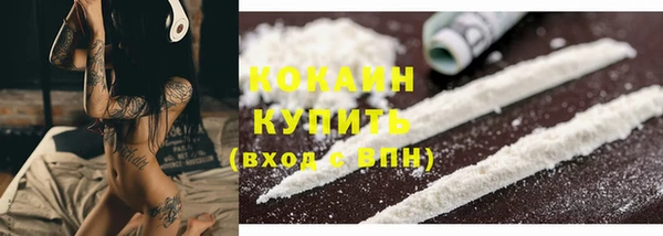 ПСИЛОЦИБИНОВЫЕ ГРИБЫ Белоозёрский
