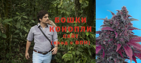 бошки Балахна