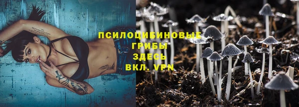 ПСИЛОЦИБИНОВЫЕ ГРИБЫ Белоозёрский