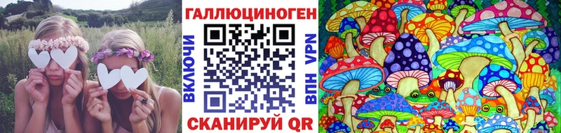 Псилоцибиновые грибы Magic Shrooms  наркотики  Жирновск 